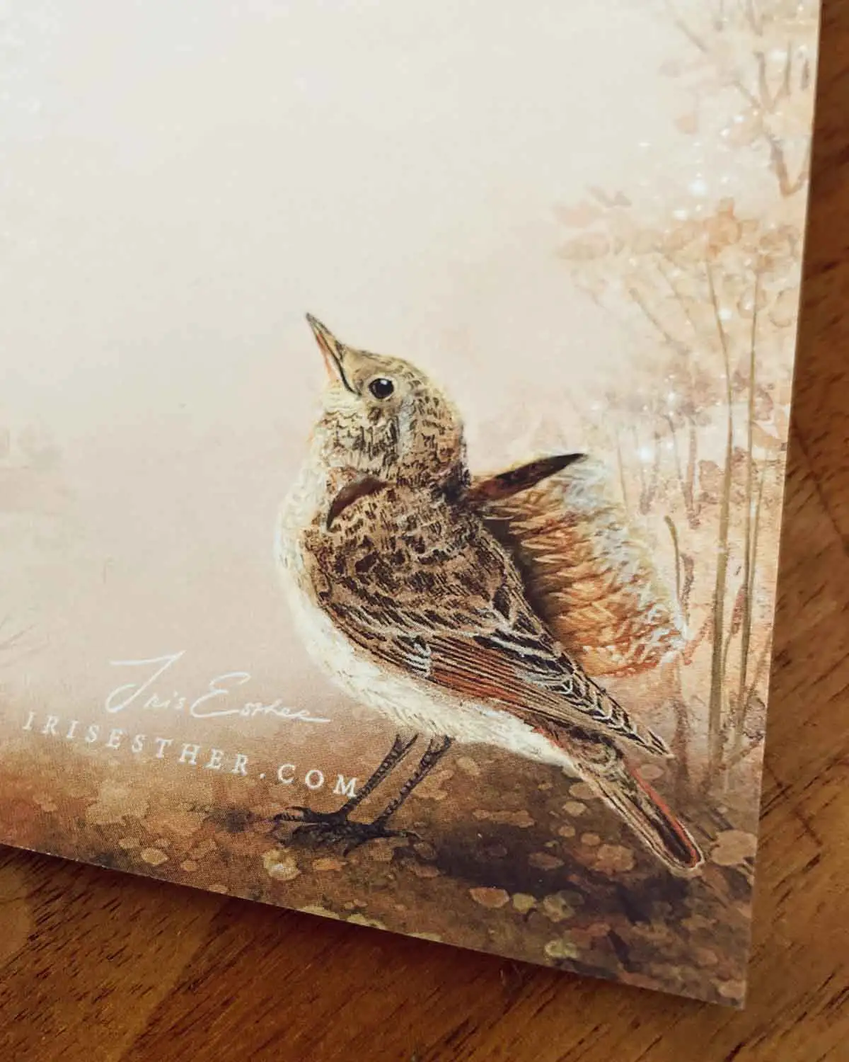 Iris Esther Featherlight List