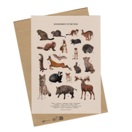 Lonneke Grimbergen A4 art print - Zoogdieren uit het bos