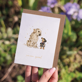 Wrendale card "First Dates" - "someone special" - teckel / retriever