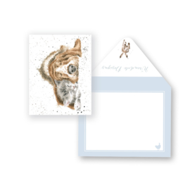 Wrendale mini card "Dog & Catnap" - hond en poes