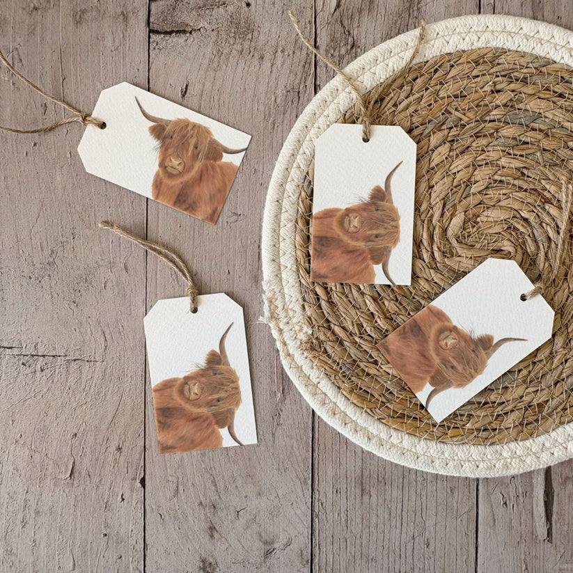 Fencil Art Studio - cadeaulabel - Schotse hooglander