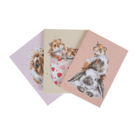 Wrendale A6 Paperback Notebook set "Whiskers and Paws"