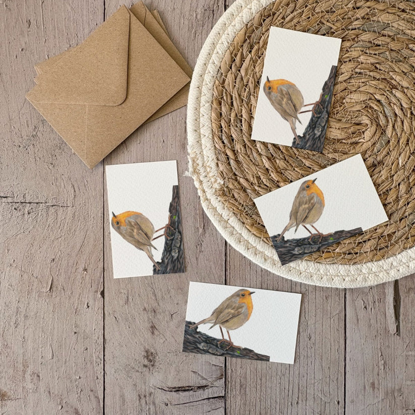 Fencil Art Studio - mini kaartje met envelop - roodborstje