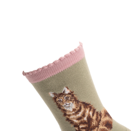 Wrendale sokken "Feline Fabulous" - poes