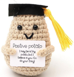 Geluksknuffeltje Positive Student