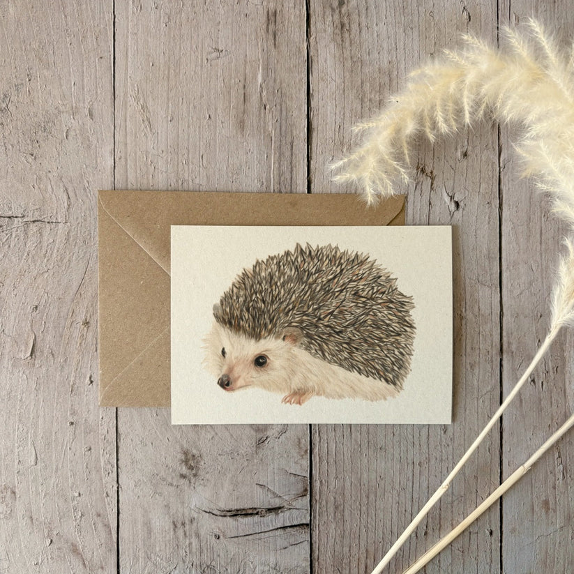 Fencil Art Studio - A6 kaart met envelop - egel