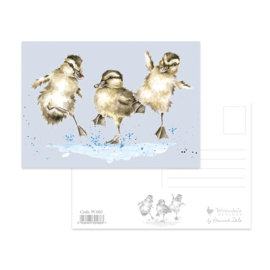 Wrendale postcard "Puddle Ducks" - eend