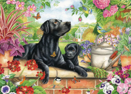 Otter House puzzel - 1000 - Black Labrador & Pup