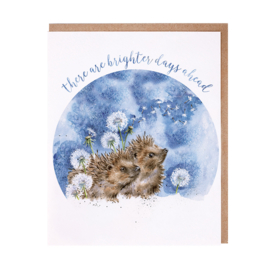 Wrendale greeting card "Brighter Days" - egel