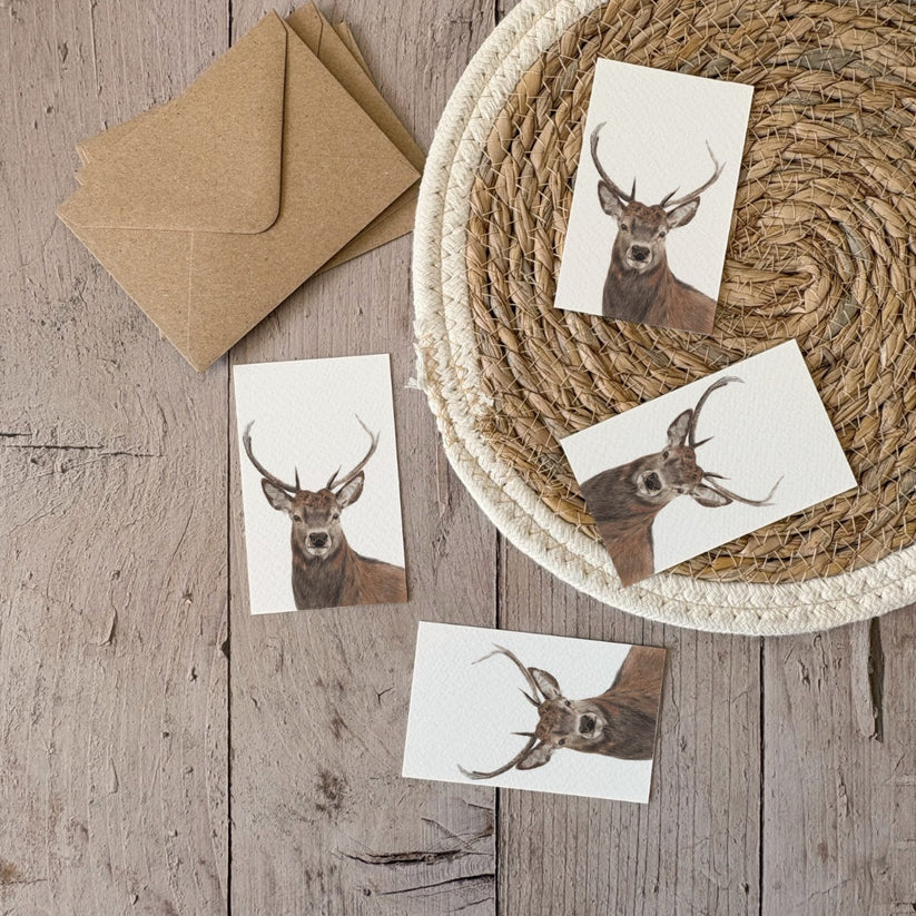 Fencil Art Studio - mini kaartje met envelop - hert