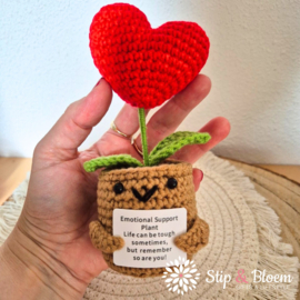 XL Geluksknuffeltje Positive Flower Heart