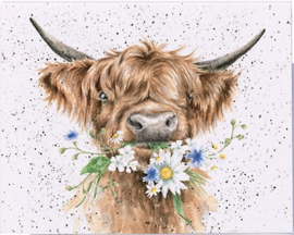 Wrendale mini card "Daisy Coo" - hooglander