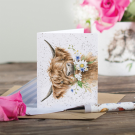 Wrendale mini card "Daisy Coo" - hooglander