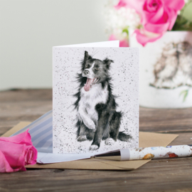 Wrendale mini card "Shadow" - Border Collie