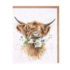 Wrendale greeting card - "Daisy Coo" - hooglander