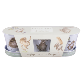 Wrendale Set of 3 Herb Pots - hare/ mouse