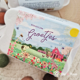 Blossombs 6 zaadbommetjes - Eierdoosje "Kleurrijke groetjes"