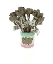 Pusheen potlood met 3D figuur