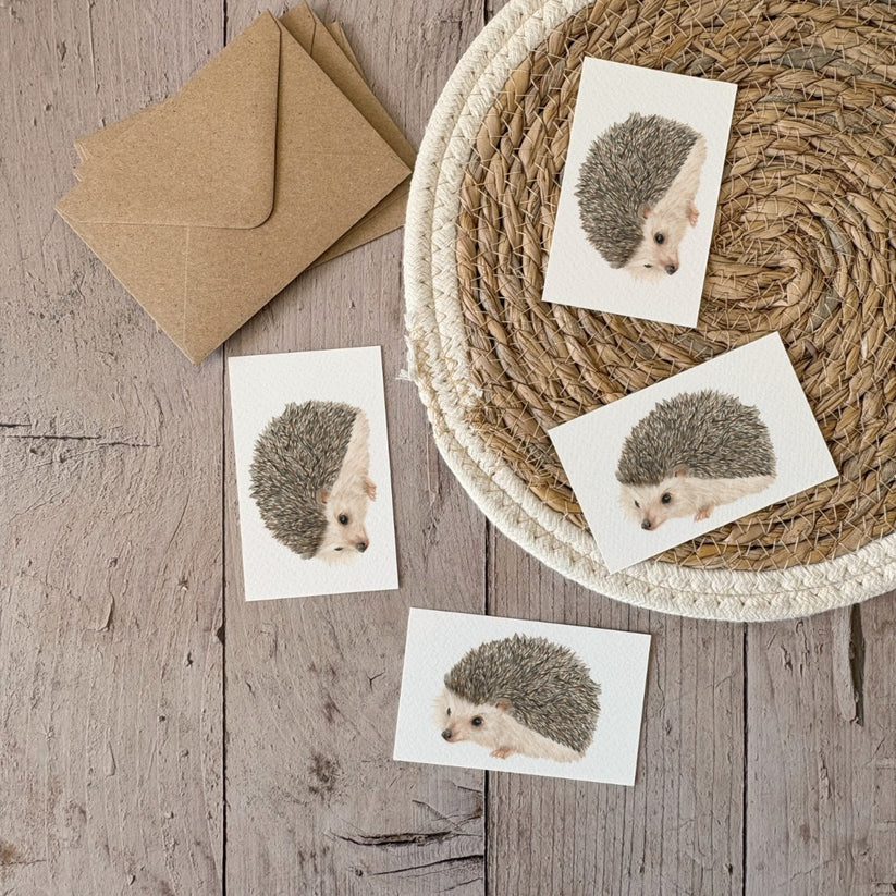 Fencil Art Studio - mini kaartje met envelop - egel