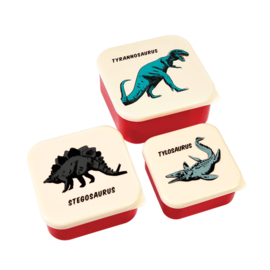 Lunchboxen set - dinosaurus