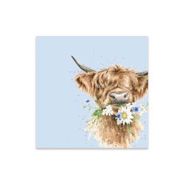 Wrendale coctail napkins "Daisy Coo" - hooglander