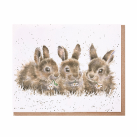 Wrendale greeting card - "Daisy Chain" - konijn