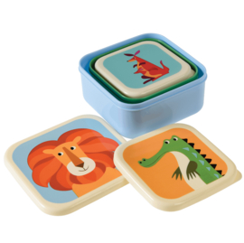 Lunchboxen set - Colourful creatures