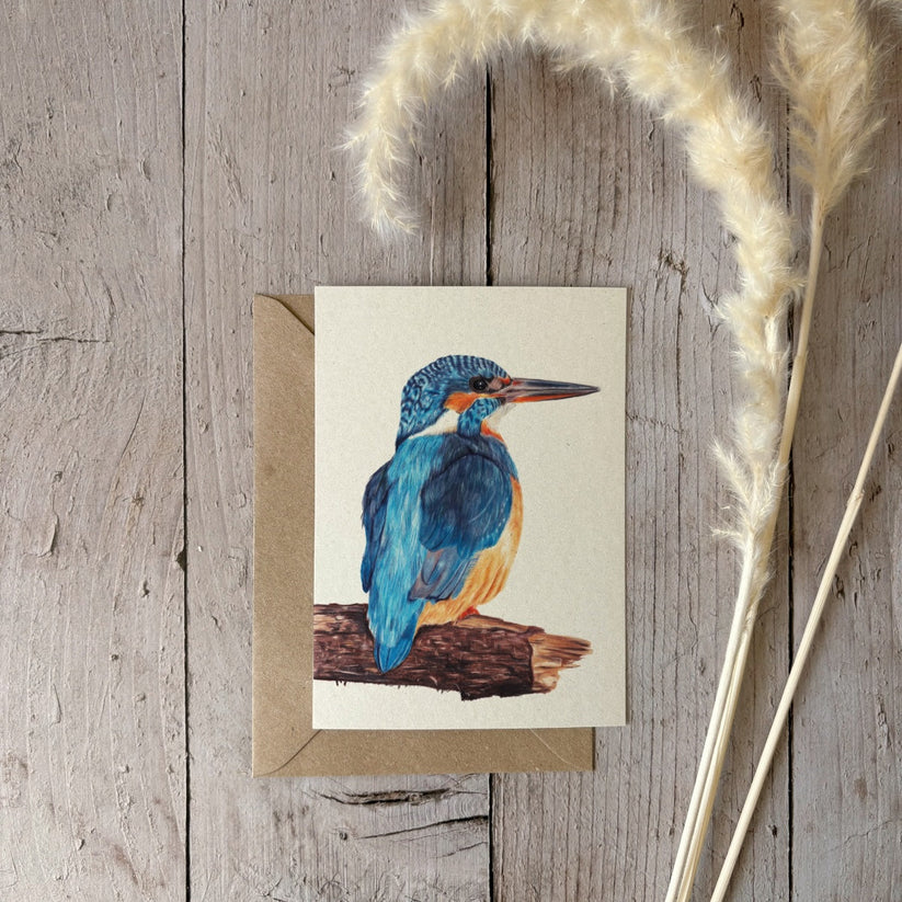 Fencil Art Studio - A6 kaart met envelop - ijsvogel