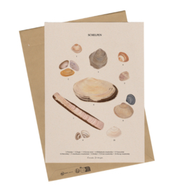 Lonneke Grimbergen A4 art print - Schelpen