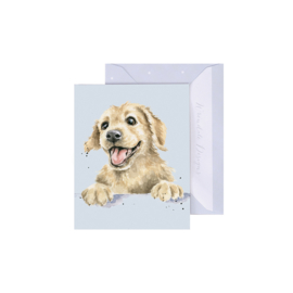 Wrendale mini card "Golden Boy" - hond