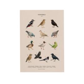 Lonneke Grimbergen A4 art print - Tuinvogels deel 2