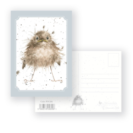 Wrendale postcard "Little Wren" - vogel
