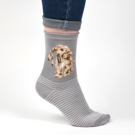 Wrendale sokken "Hopeful" - labrador
