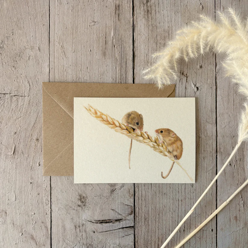 Fencil Art Studio - A6 kaart met envelop - veldmuizen