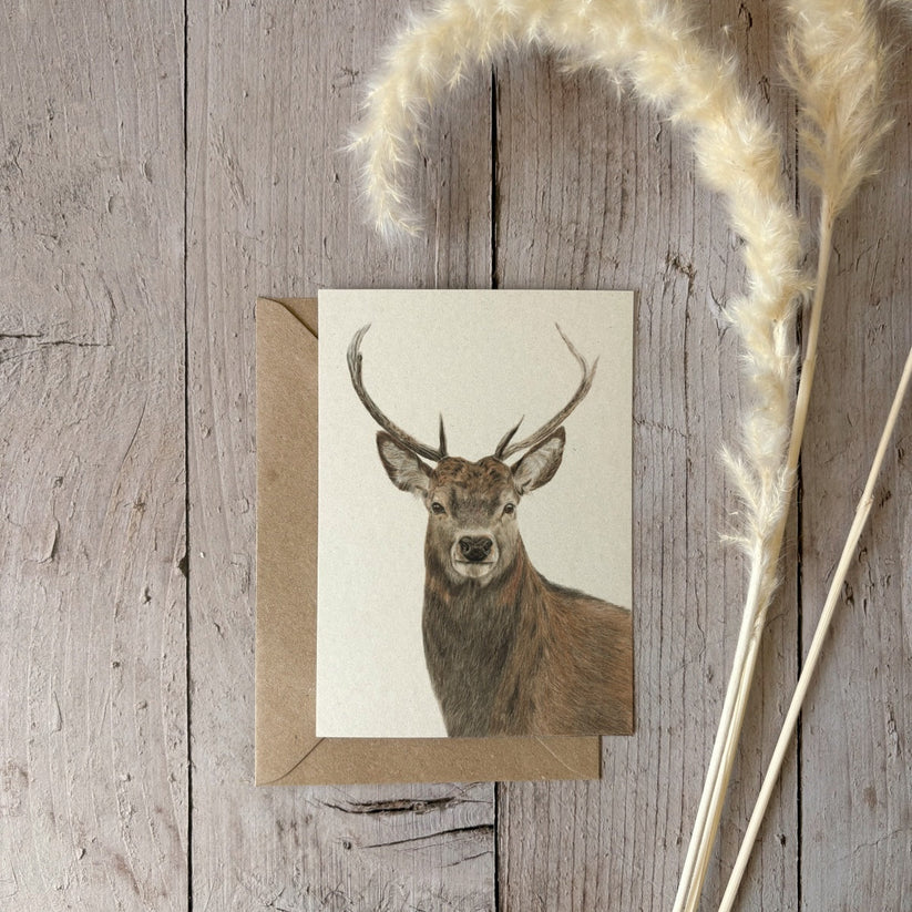 Fencil Art Studio - A6 kaart met envelop - hert