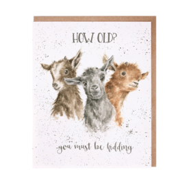 Wrendale greeting card "How Old?" - geiten