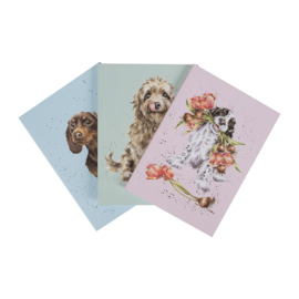 Wrendale A6 Paperback Notebook set "A Dog's Life"