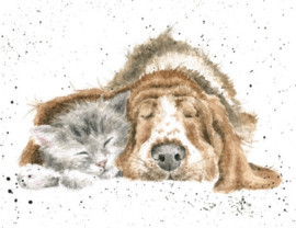 Wrendale mini card "Dog & Catnap" - hond en poes