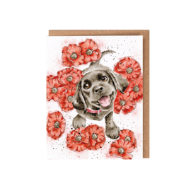 Wrendale greeting card - "Poppy Love" - labrador