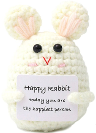 Geluksknuffeltje Positive Rabbit