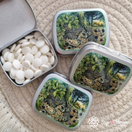 Blikje met pepermuntjes - egels