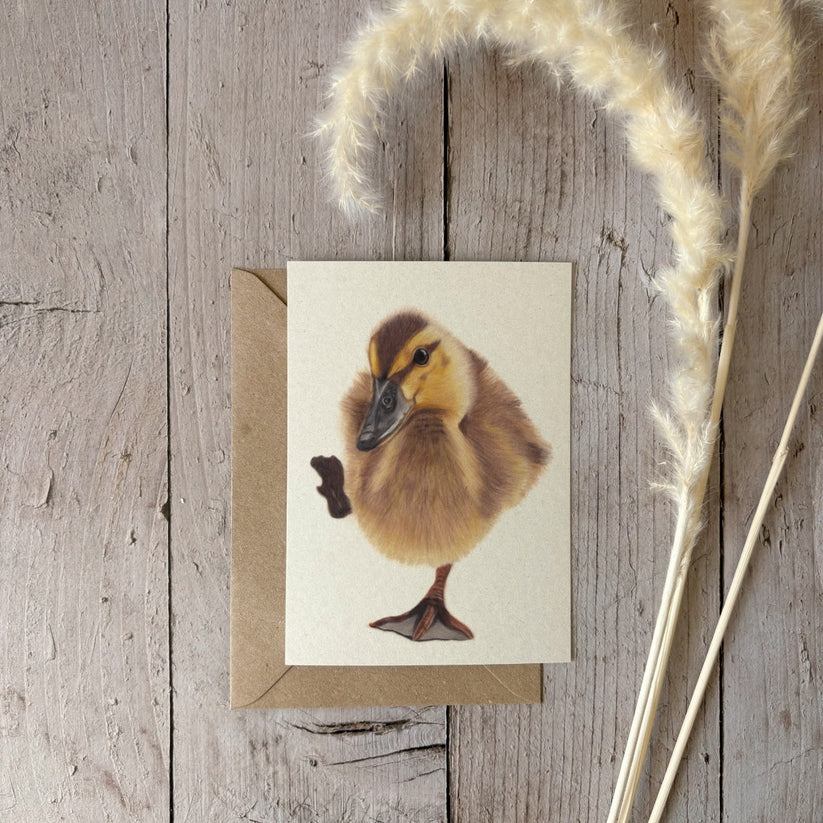 Fencil Art Studio - A6 kaart met envelop - eendje