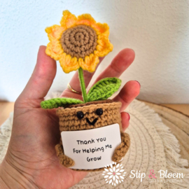 XL Geluksknuffeltje Positive Sunflower