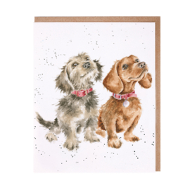 Wrendale greeting card - "Treat Time" - hond