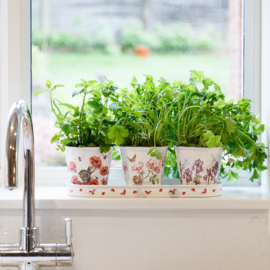 Wrendale Set of 3 Herb Pots - Floral