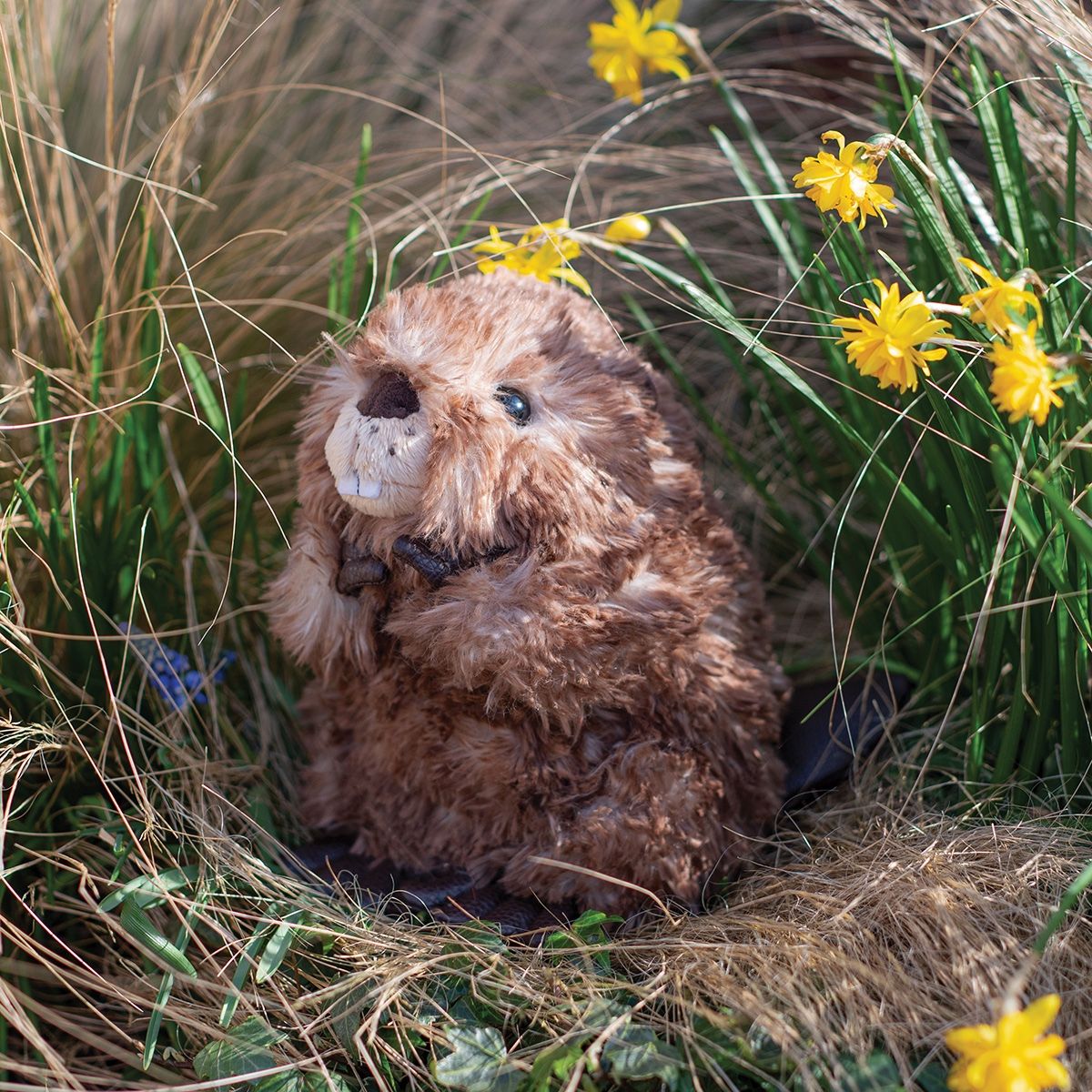 Wrendale knuffel bever "Chester" - junior