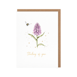 Wrendale card "The Marsh Orchid" - "thinking of you" - hommel