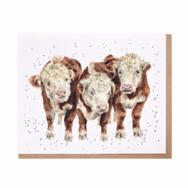 Wrendale greeting card - "Paddy, Percy & Pedro" - koe