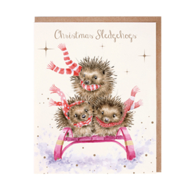 Wrendale Christmas Card Pack "Sledgehogs"