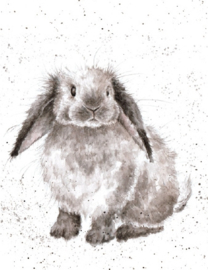 Wrendale mini card "Rosie" - konijn